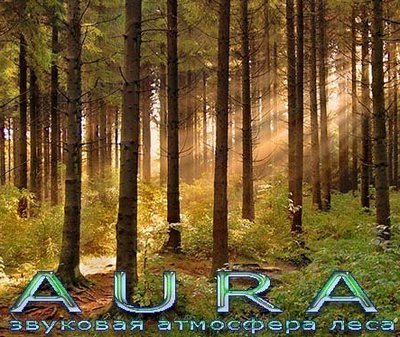 Аура 2.8.9d.208 [Multi/Ru]