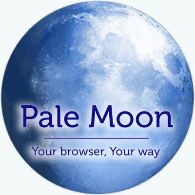 Pale Moon 31.3.0.1 (2022) PC | + Portable